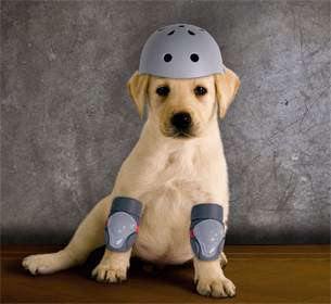 Pet Care